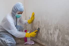 Best Water Damage & Mold Remediation  in Raytown, MO